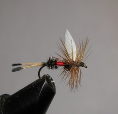 ���� ����� Dry fly Quill DFQ 07 